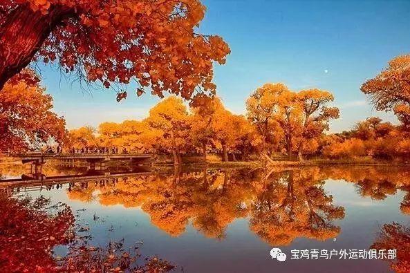 逗小猴开心系列213